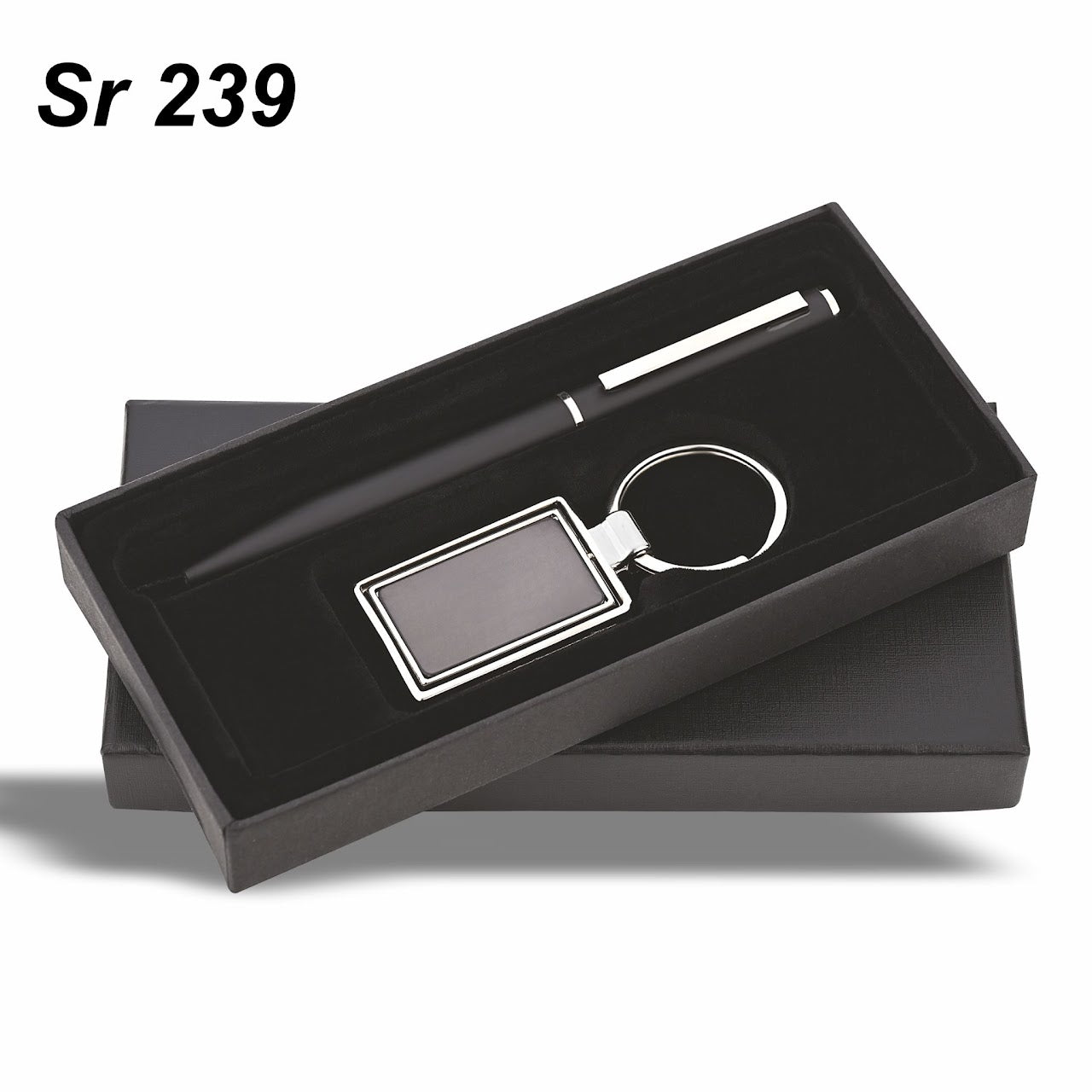 Sr 239: Pen & Rotating Keychain Set